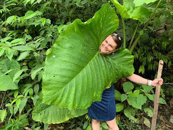 meghan kelly standing behind a huge tropical leaf