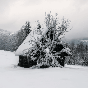 a snowy cabin in a snowy field