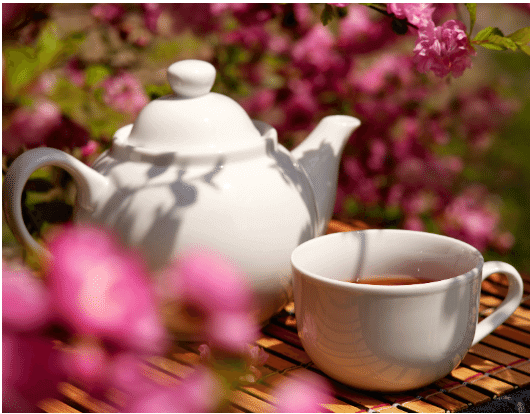 teapot and teacup outside on a table amid pink blossoms