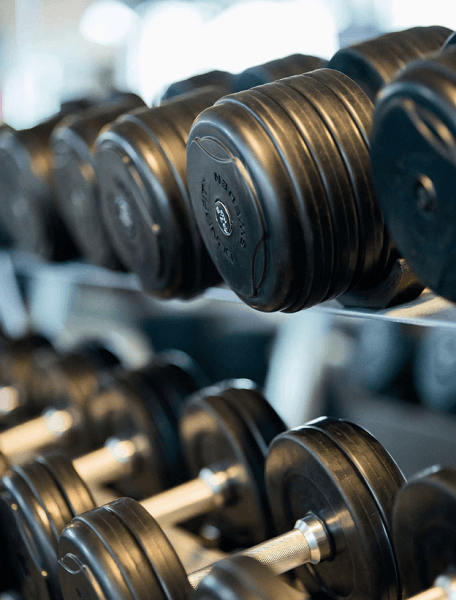 dumbbells in a rack