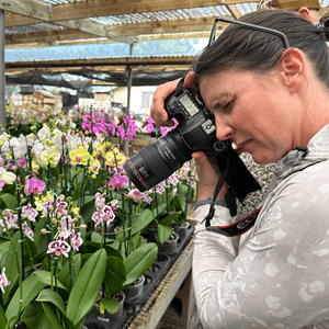 JoAnne Knight taking pictures of flowers with a digital SLR