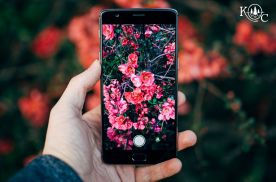 a hand holding a smartphone with a photo of pretty pink flowers on the screen