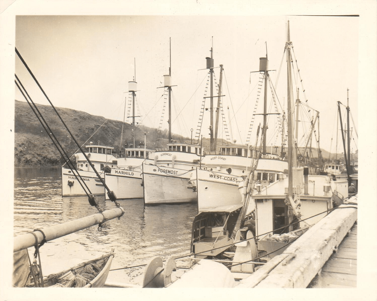 the fishing vessels Marconia, Marhild, Foremost, and West Coast tied in the kodiak channel harbor circa 1964