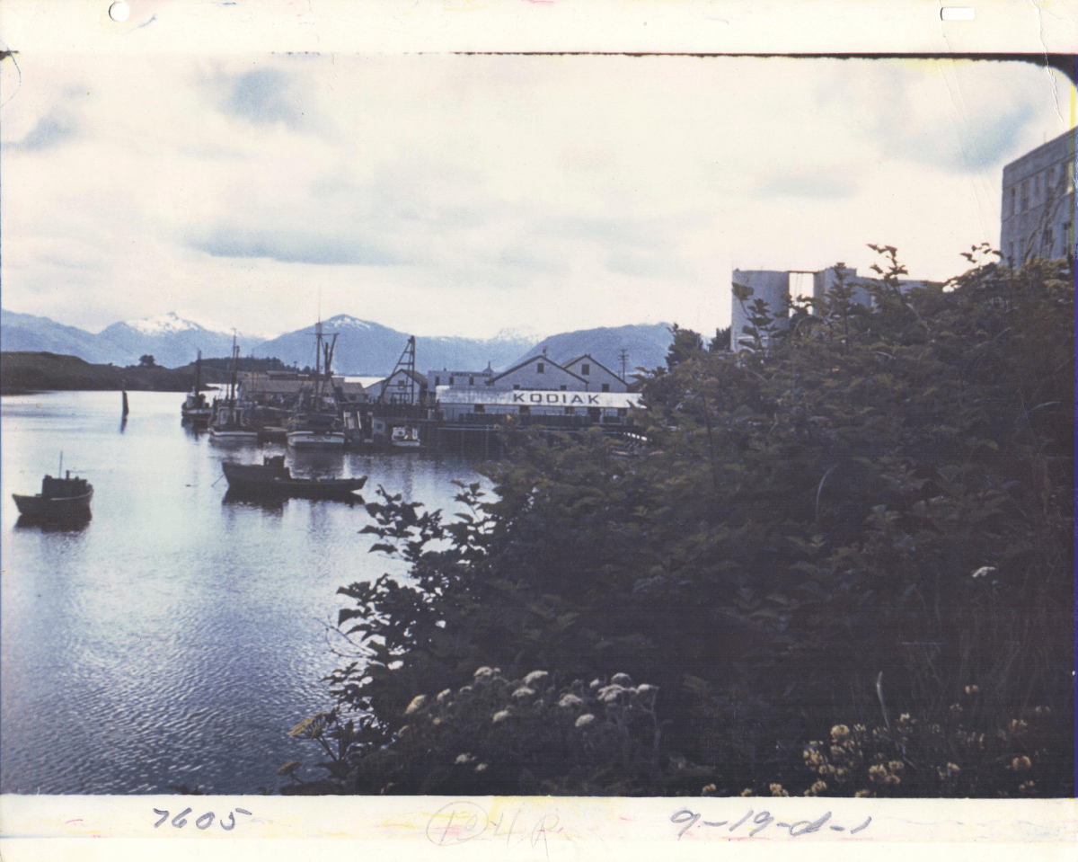 photo of boats docked in the channel in kodiak before the 1964 earthquake