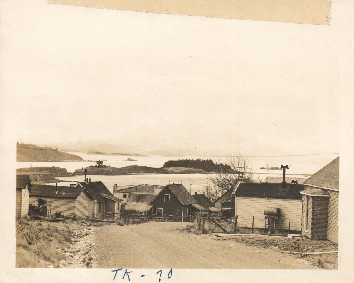 photograph view from the top of a hill down through houses toward the water