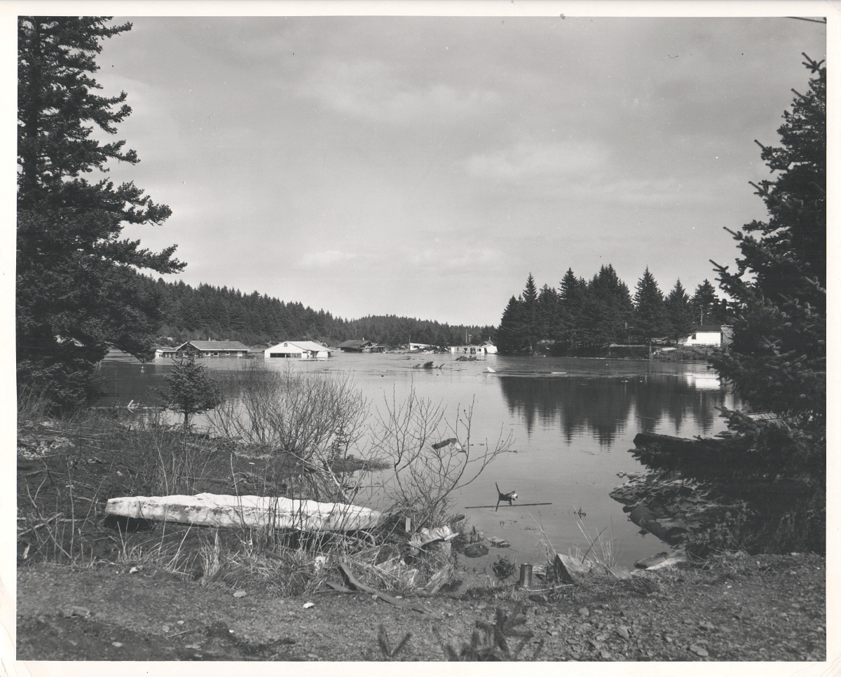 photograph of houses up to their roofs underwater in a lake surrounded by spruce trees