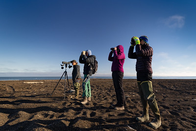 4 birders looking through binoculars and a scope on a beach on a sunny day